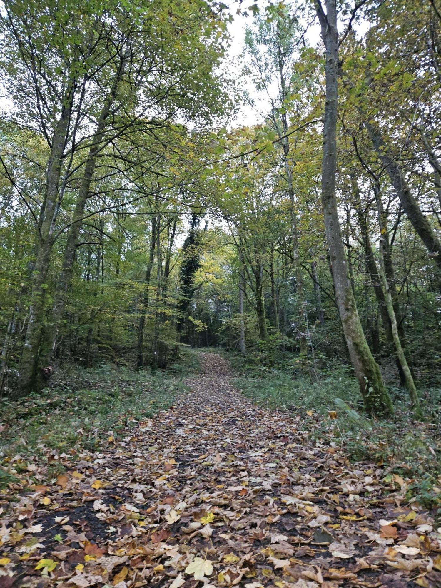 Gemuetliche Ferienwohnung Im Westerwald - "Ferienwohnung Grau" Weitefeld 외부 사진